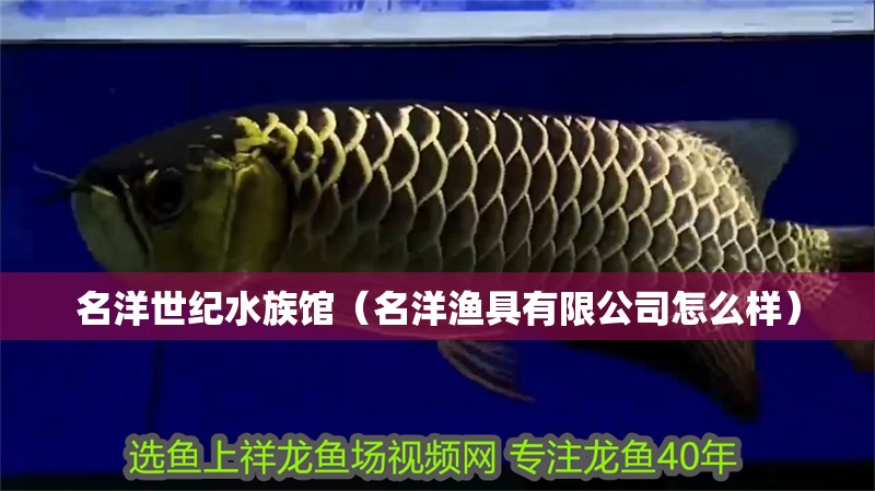 名洋世紀水族館（名洋漁具有限公司怎么樣）