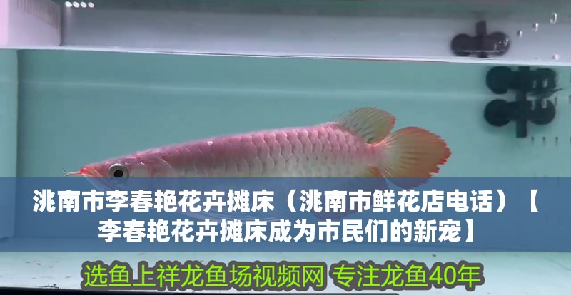 洮南市李春艷花卉攤床（洮南市鮮花店電話）【李春艷花卉攤床成為市民們的新寵】