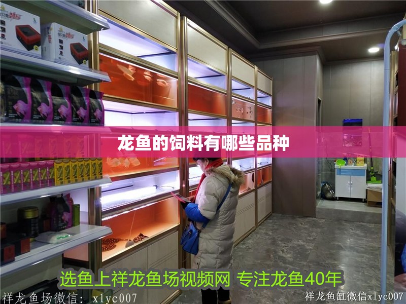 龍魚的飼料有哪些品種