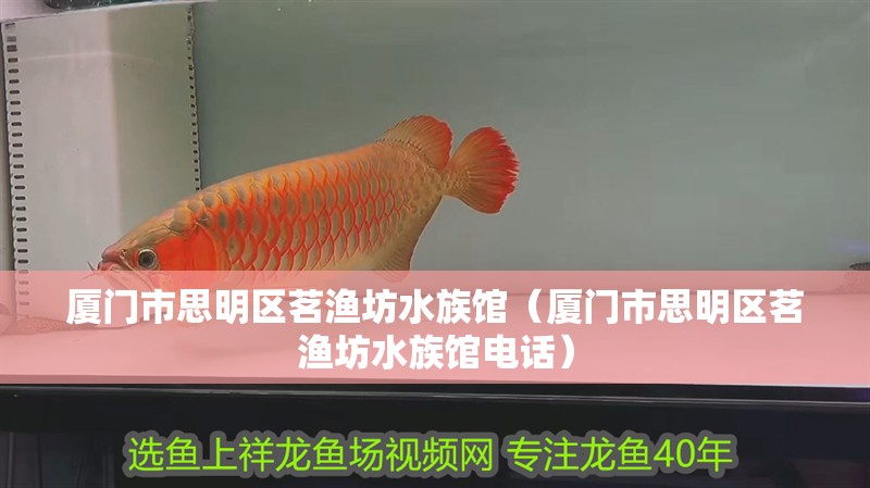廈門市思明區茗漁坊水族館（廈門市思明區茗漁坊水族館電話）