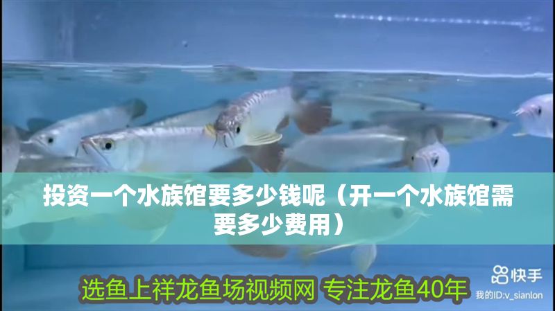 投資一個水族館要多少錢呢（開一個水族館需要多少費用）