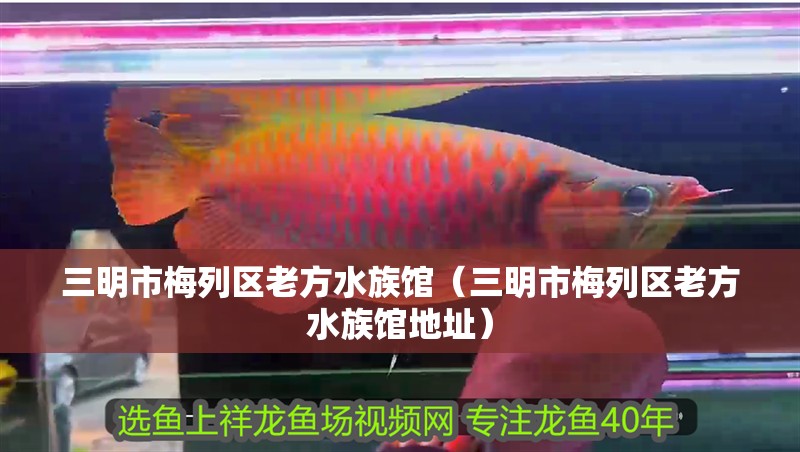 三明市梅列區(qū)老方水族館(三明市梅列區(qū)老方水族館地址) 全國水族館企業(yè)名錄 第2張 三明市梅列區(qū)老方水族館(三明市梅列區(qū)老方水族館地址) 三明市梅列區(qū)老方水族館(三明市梅列區(qū)老方水族館地址) 全國水族館企業(yè)名錄 第2張