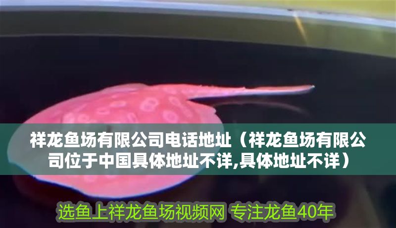 祥龍魚場有限公司電話地址（祥龍魚場有限公司位于中國具體地址不詳,具體地址不詳）