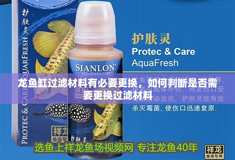 龍魚缸過濾材料有必要更換，如何判斷是否需要更換過濾材料
