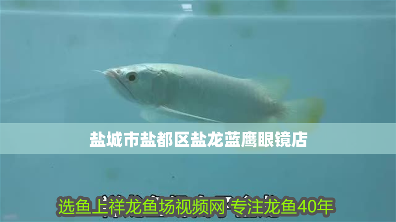 鹽城市鹽都區鹽龍藍鷹眼鏡店