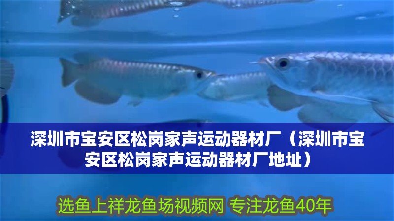 深圳市寶安區松崗家聲運動器材廠（深圳市寶安區松崗家聲運動器材廠地址）