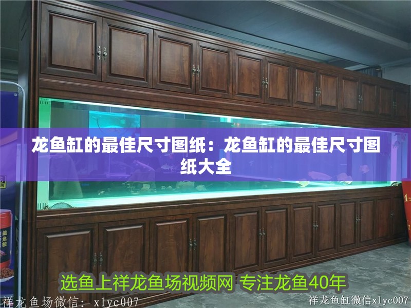 龍魚缸的最佳尺寸圖紙：龍魚缸的最佳尺寸圖紙大全