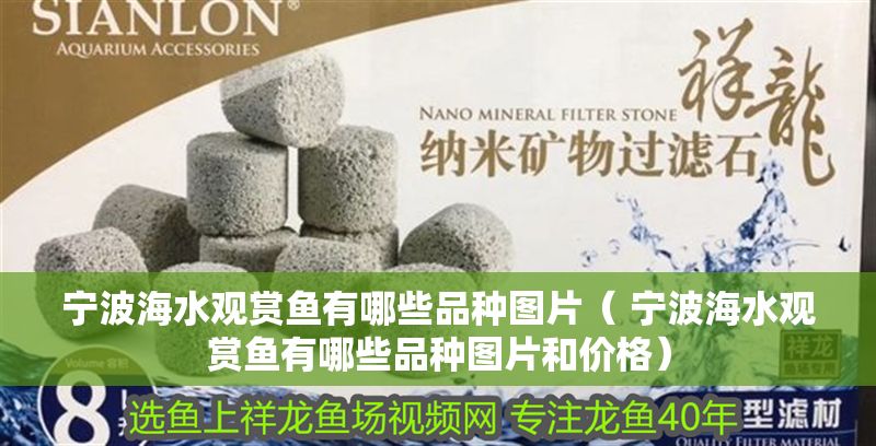 寧波海水觀賞魚有哪些品種圖片（ 寧波海水觀賞魚有哪些品種圖片和價格）