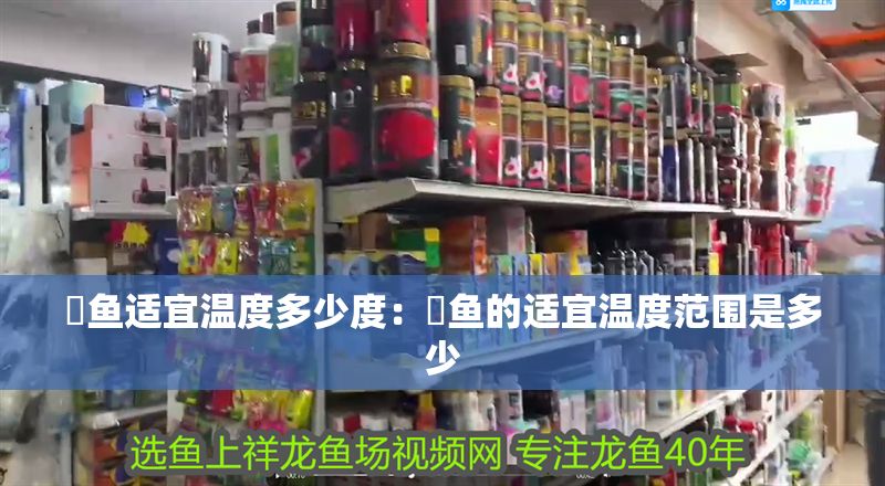 魟魚適宜溫度多少度：魟魚的適宜溫度范圍是多少