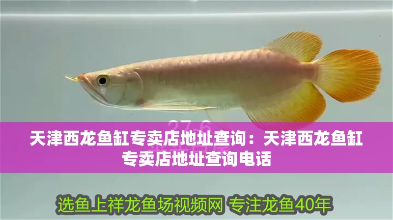 天津西龍魚缸專賣店地址查詢：天津西龍魚缸專賣店地址查詢電話