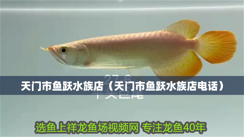 天門市魚躍水族店（天門市魚躍水族店電話）