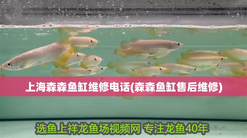 上海森森魚缸維修電話(森森魚缸售后維修)