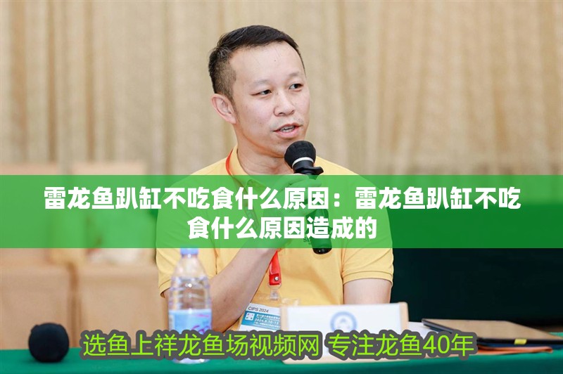 雷龍魚趴缸不吃食什么原因：雷龍魚趴缸不吃食什么原因造成的 雷龍魚趴缸不吃食什么原因：雷龍魚趴缸不吃食什么原因造成的 水族問答