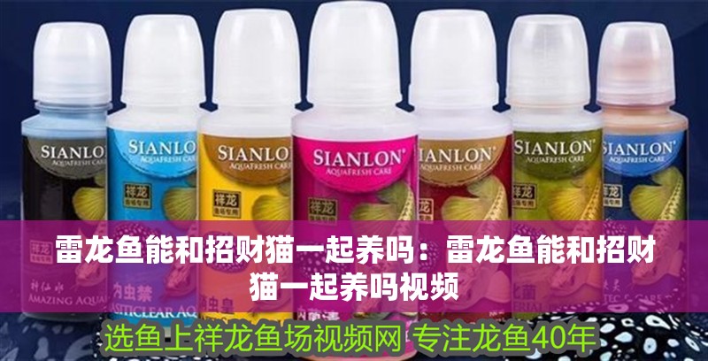 雷龍魚能和招財貓一起養嗎：雷龍魚能和招財貓一起養嗎視頻