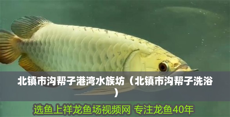 北鎮(zhèn)市溝幫子港灣水族坊（北鎮(zhèn)市溝幫子洗浴）