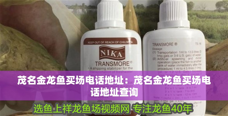 茂名金龍魚買場電話地址:茂名金龍魚買場電話地址查詢 水族問答 茂名金龍魚買場電話地址:茂名金龍魚買場電話地址查詢 茂名金龍魚買場電話地址:茂名金龍魚買場電話地址查詢 水族問答