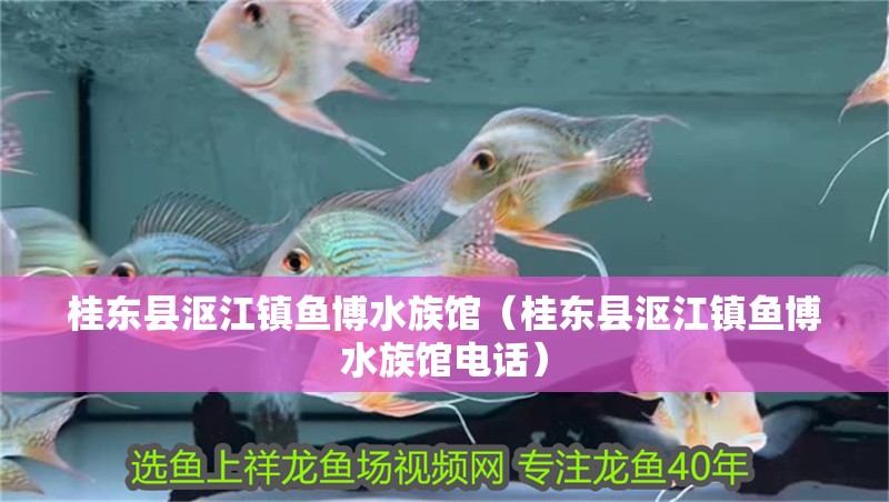 桂東縣漚江鎮(zhèn)魚博水族館（桂東縣漚江鎮(zhèn)魚博水族館電話）