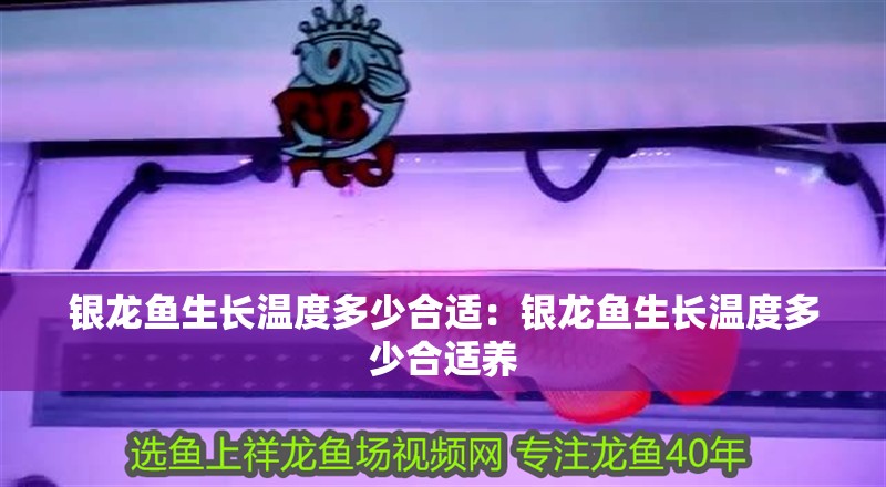 銀龍魚生長溫度多少合適：銀龍魚生長溫度多少合適養(yǎng)