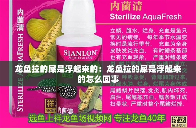 豬鼻龜瀕危物種有哪些圖片及名稱視頻(豬鼻龜國家二級保護動物)