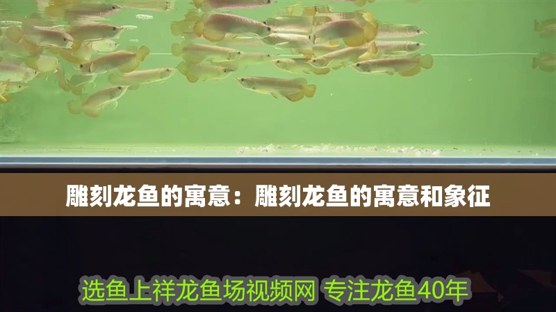 雕刻龍魚的寓意：雕刻龍魚的寓意和象征