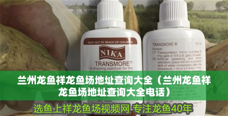 蘭州龍魚祥龍魚場地址查詢大全（蘭州龍魚祥龍魚場地址查詢大全電話）