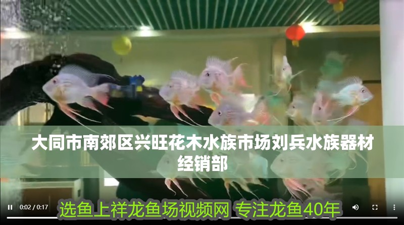 大同市南郊區興旺花木水族市場劉兵水族器材經銷部
