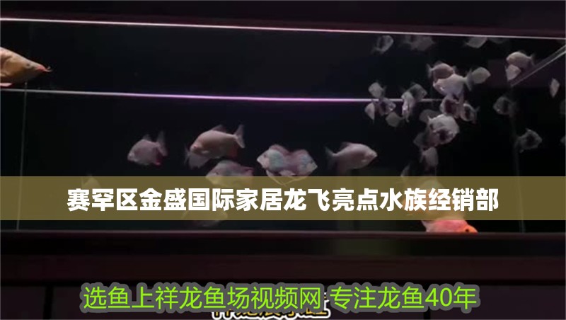 賽罕區(qū)金盛國際家居龍飛亮點水族經(jīng)銷部