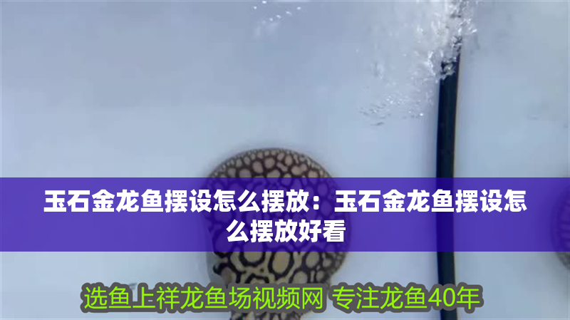 玉石金龍魚擺設怎么擺放：玉石金龍魚擺設怎么擺放好看