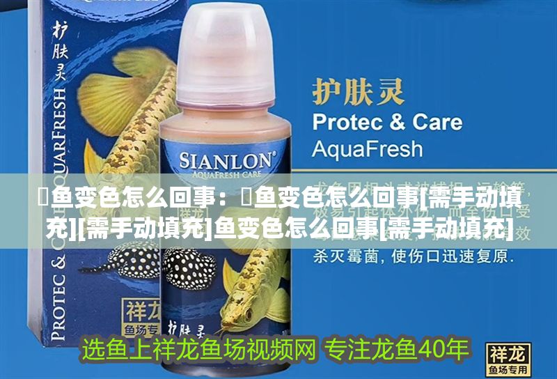 魟魚變色怎么回事：魟魚變色怎么回事[需手動(dòng)填充][需手動(dòng)填充]魚變色怎么回事[需手動(dòng)填充]魚變色怎么回事