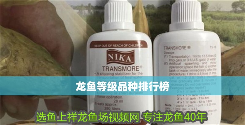 龍魚等級品種排行榜