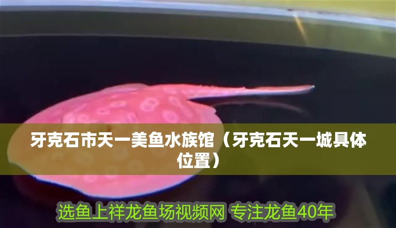 牙克石市天一美魚水族館（牙克石天一城具體位置）