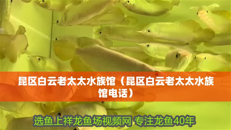 昆區白云老太太水族館（昆區白云老太太水族館電話）