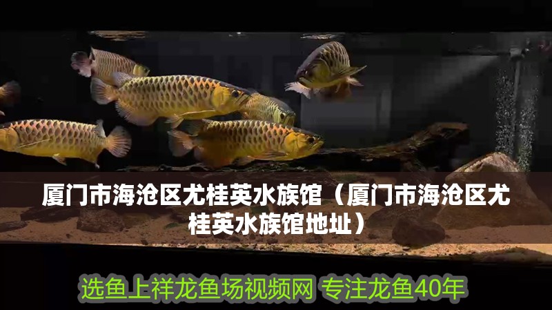 廈門市海滄區尤桂英水族館（廈門市海滄區尤桂英水族館地址）