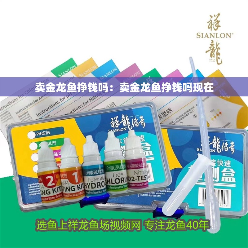 賣金龍魚掙錢嗎：賣金龍魚掙錢嗎現在