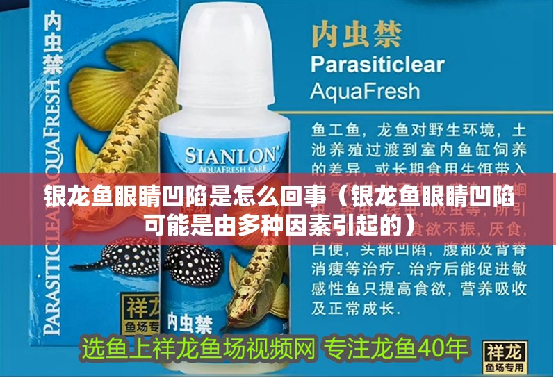 銀龍魚眼睛凹陷是怎么回事（銀龍魚眼睛凹陷可能是由多種因素引起的）