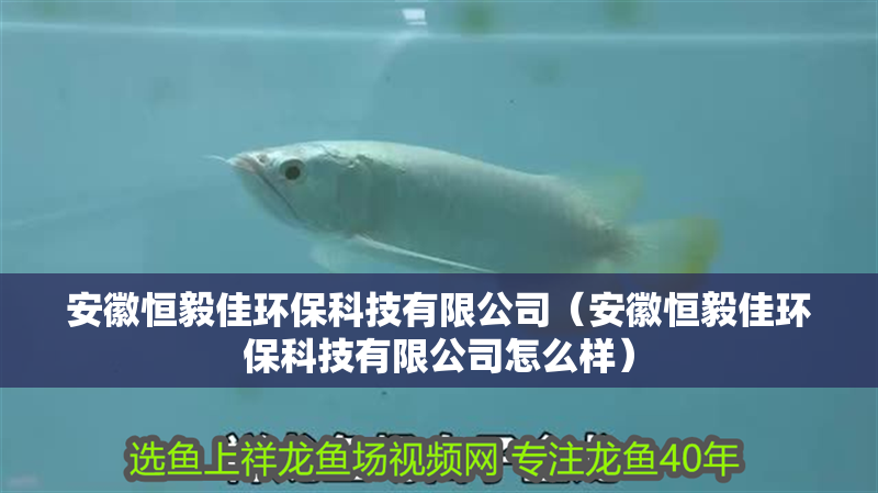 安徽恒毅佳環保科技有限公司（安徽恒毅佳環保科技有限公司怎么樣）