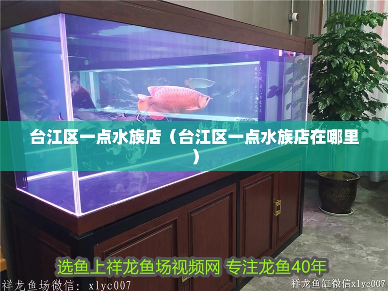 臺(tái)江區(qū)一點(diǎn)水族店（臺(tái)江區(qū)一點(diǎn)水族店在哪里）