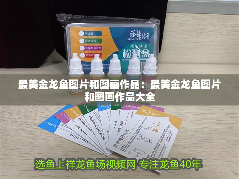 最美金龍魚圖片和圖畫作品：最美金龍魚圖片和圖畫作品大全