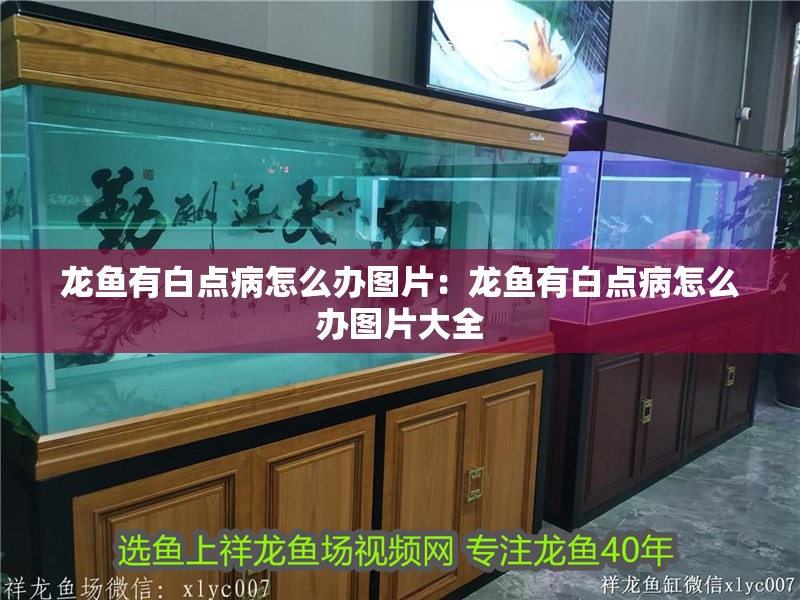 龍魚有白點(diǎn)病怎么辦圖片：龍魚有白點(diǎn)病怎么辦圖片大全