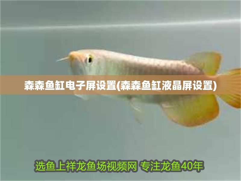 森森魚缸電子屏設(shè)置(森森魚缸液晶屏設(shè)置)