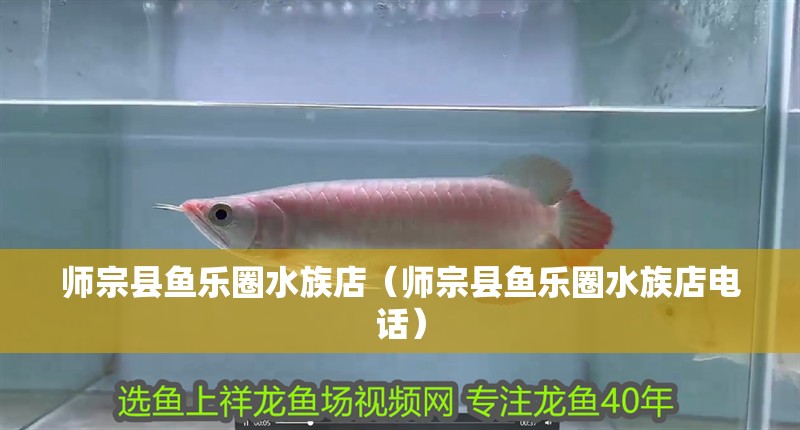 師宗縣魚樂圈水族店（師宗縣魚樂圈水族店電話）