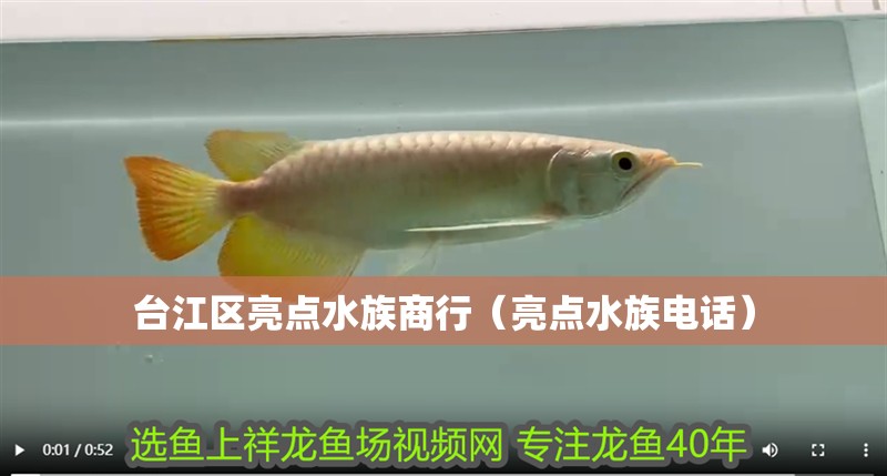 臺江區(qū)亮點水族商行（亮點水族電話）