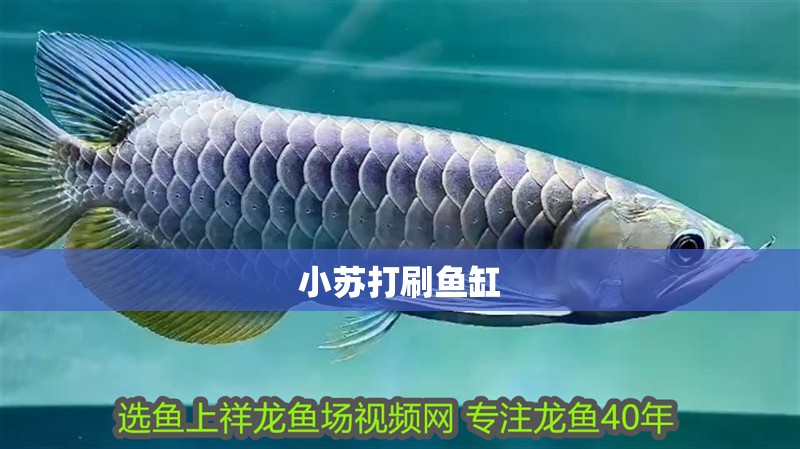 小蘇打刷魚缸