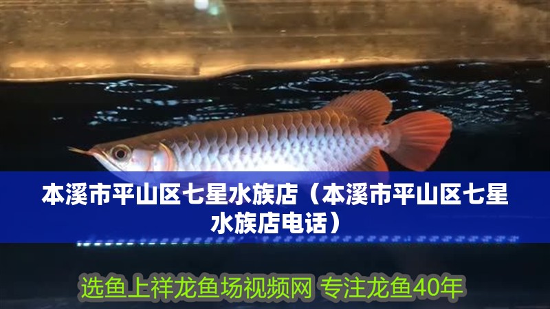 本溪市平山區七星水族店（本溪市平山區七星水族店電話）