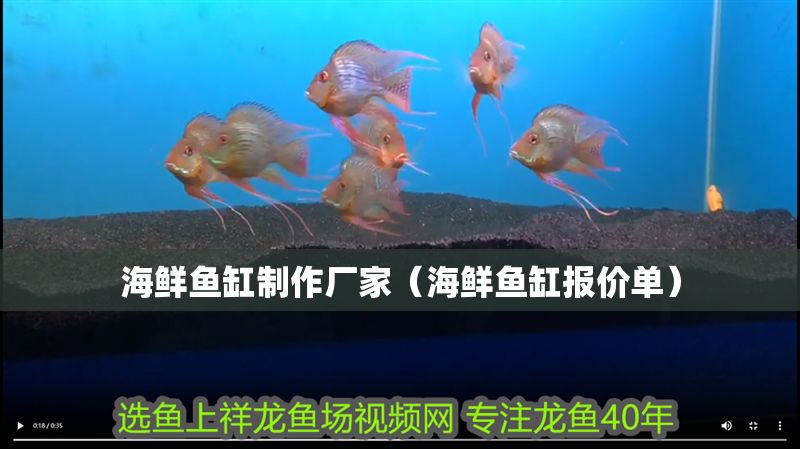 海鮮魚缸制作廠家（海鮮魚缸報價單）