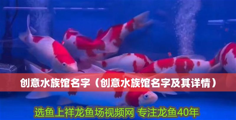 創(chuàng)意水族館名字(創(chuàng)意水族館名字及其詳情) 水族館百科(水族館加盟) 第1張 創(chuàng)意水族館名字(創(chuàng)意水族館名字及其詳情) 創(chuàng)意水族館名字(創(chuàng)意水族館名字及其詳情) 水族館百科(水族館加盟) 第1張