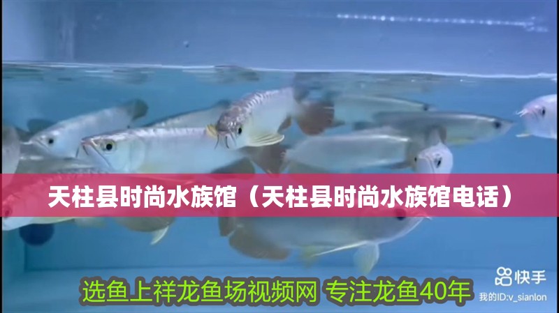 天柱縣時尚水族館（天柱縣時尚水族館電話）