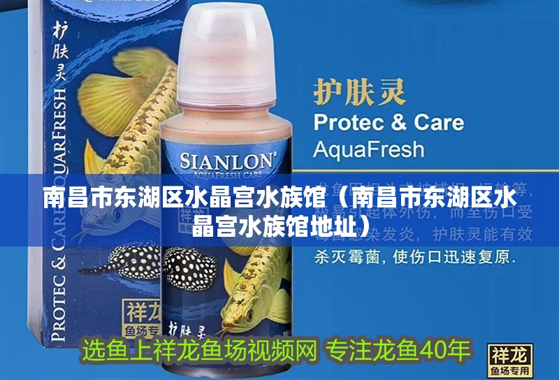 南昌市東湖區水晶宮水族館（南昌市東湖區水晶宮水族館地址）