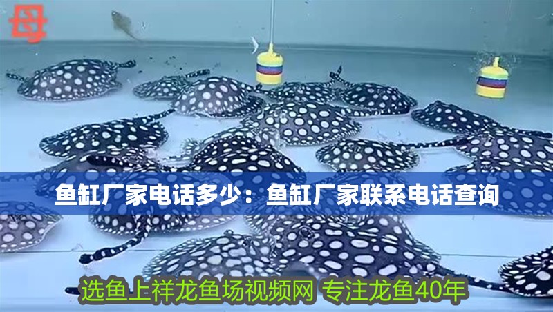 魚缸廠家電話多少：魚缸廠家聯系電話查詢