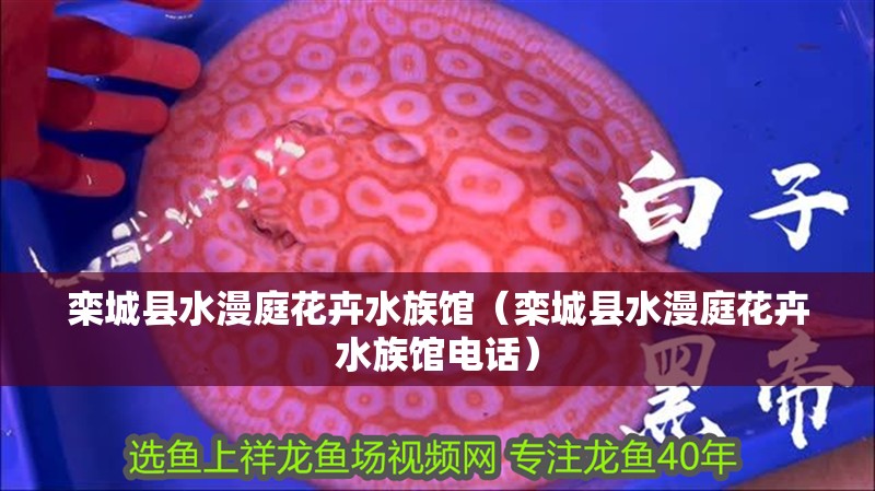 欒城縣水漫庭花卉水族館（欒城縣水漫庭花卉水族館電話）